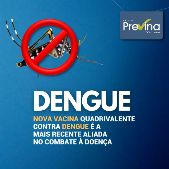 card blog dengue